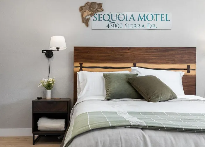 The Belle Sequoia Motel Rm9